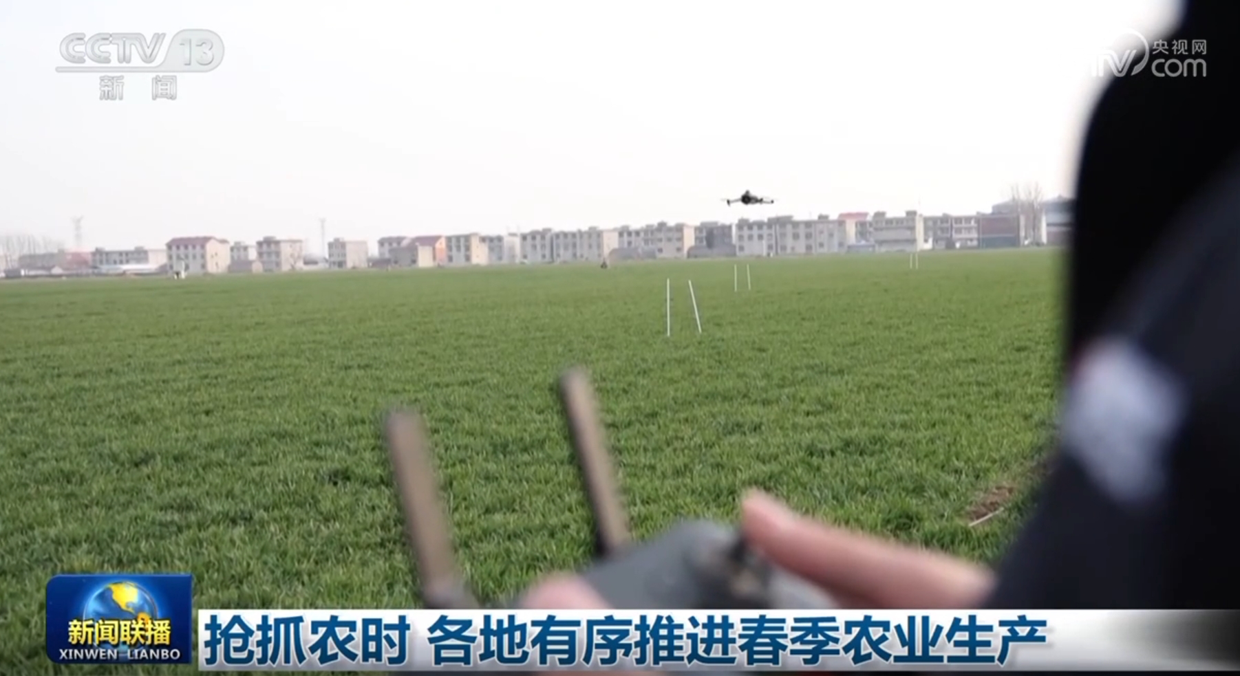 感情