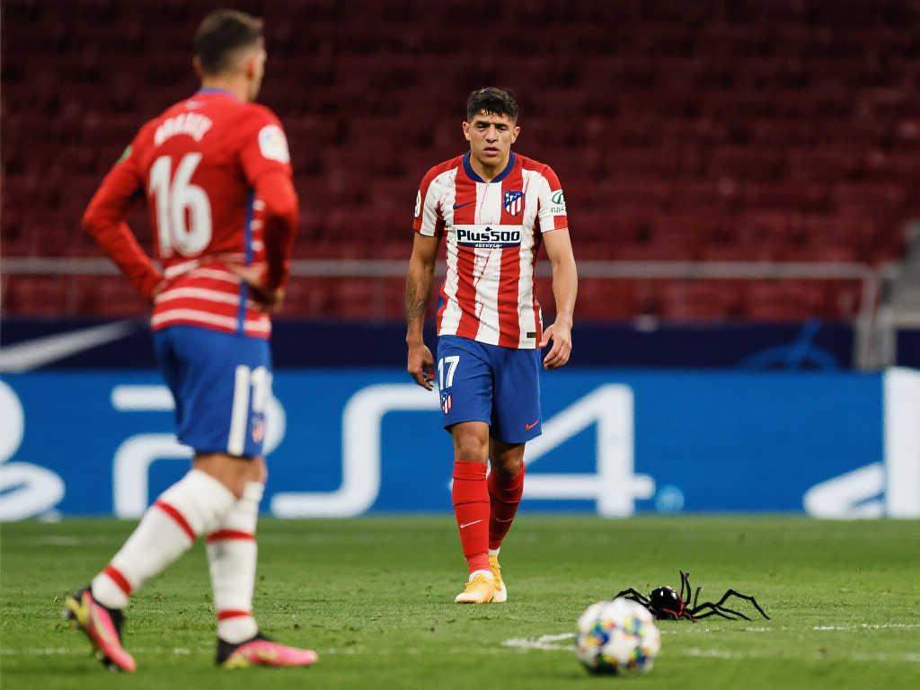 的关注与支 的关注与支